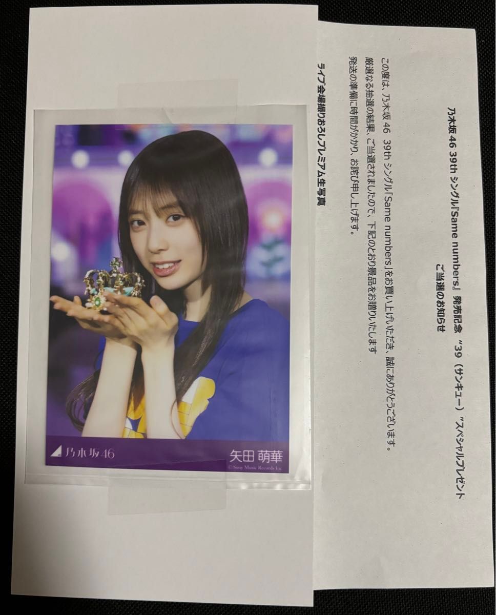 乃木坂46 矢田萌華 プレミアム生写真 サンキュー ライブ会場撮り下ろし