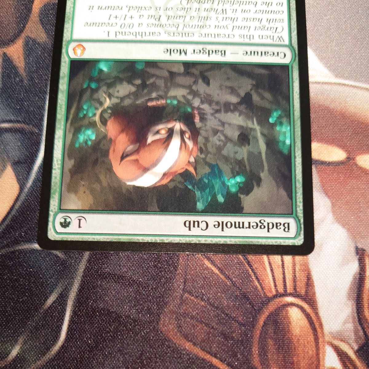 MTG アナグマモグラの仔 / Badgermole Cub 英語｜Yahoo!フリマ（旧