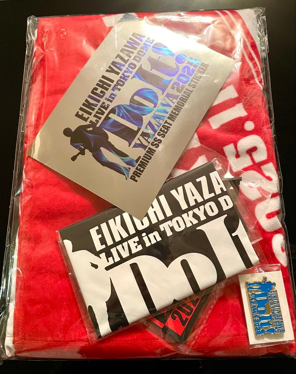 矢沢永吉 2023 タオル×2 Tシャツ 銀テープ1本 会場座席特典ピンバッジ