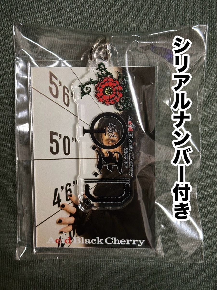 R*n様 Acid Black Cherry 楽天ブックス特典 キーホルダー コ R*n様
