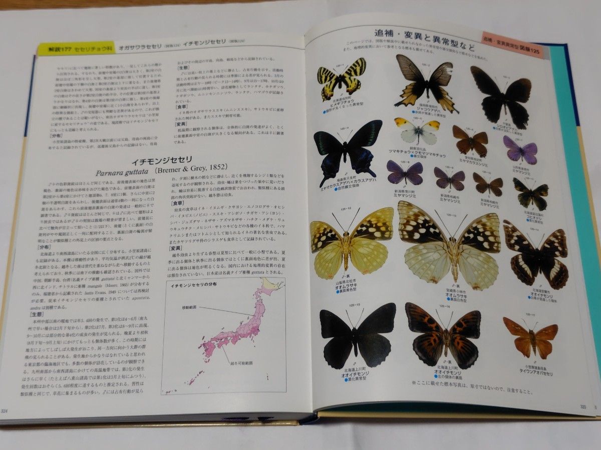 美品 (大型本) 日本産蝶類標準図鑑 白水隆 学研｜Yahoo!フリマ（旧