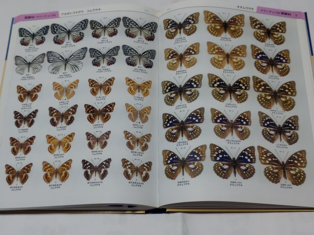 美品 (大型本) 日本産蝶類標準図鑑 白水隆 学研｜Yahoo!フリマ（旧