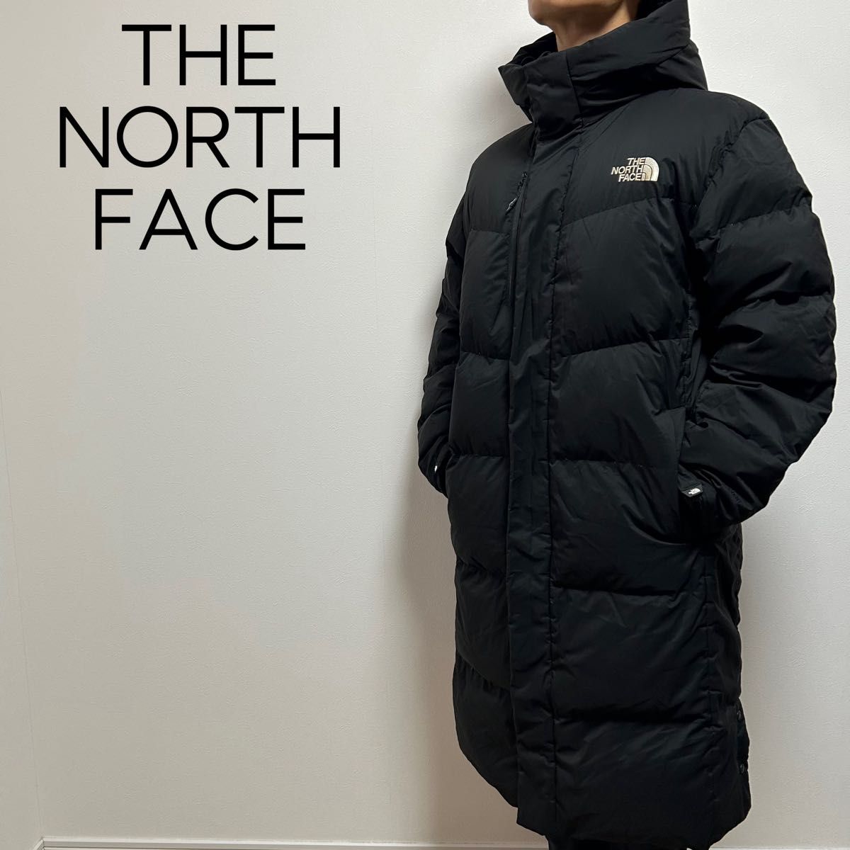 日本未入荷 海外限定モデル THE NORTH FACE ノースフェイス ロング