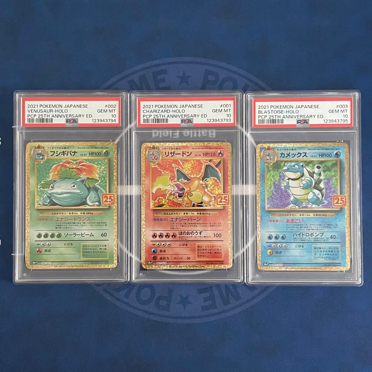 PSA10】25th 初代御三家 3枚セット【連番】ポケモンカード フシギバナ