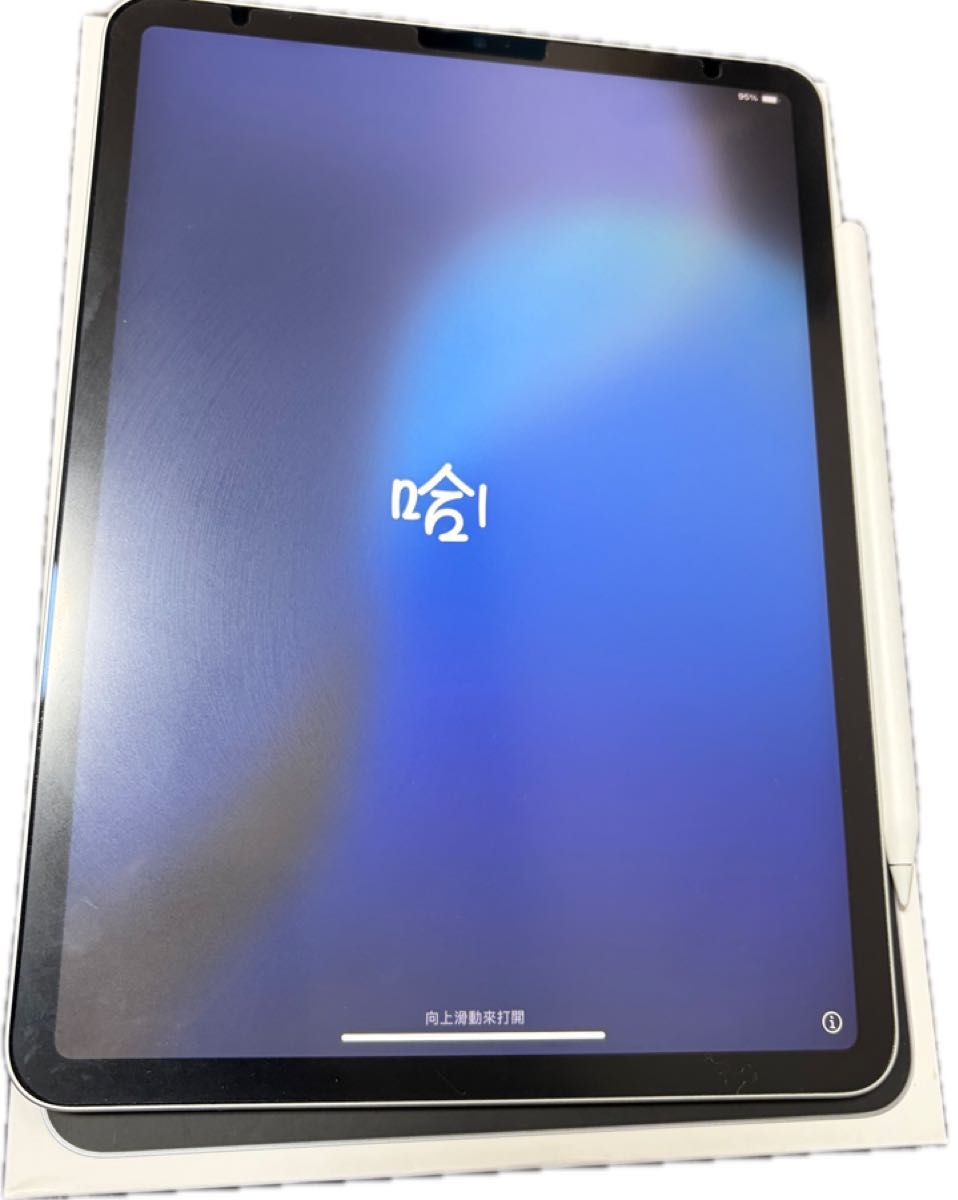 Apple iPad Pro M1 256GB 中古 Wi-Fiモデル MHQV3J/A Apple pencil付き