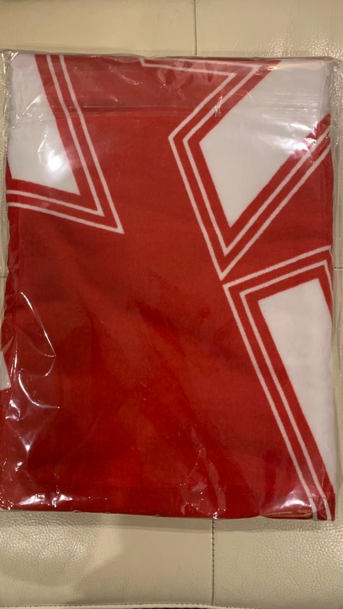 新品未開封】矢沢永吉 11月9日 東京ドーム「Do it 」PSS席グッズ