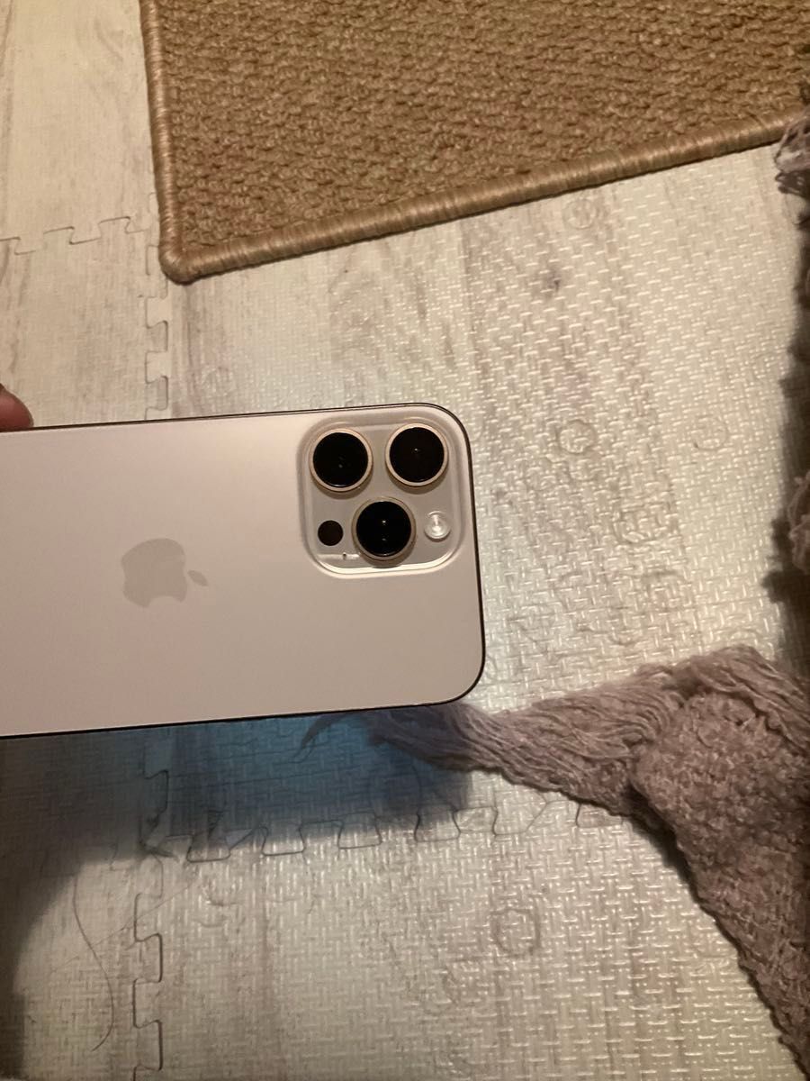 彩羽様専用ページ 海外版Apple iPhone 16 Pro Max 256GB，美品，sim