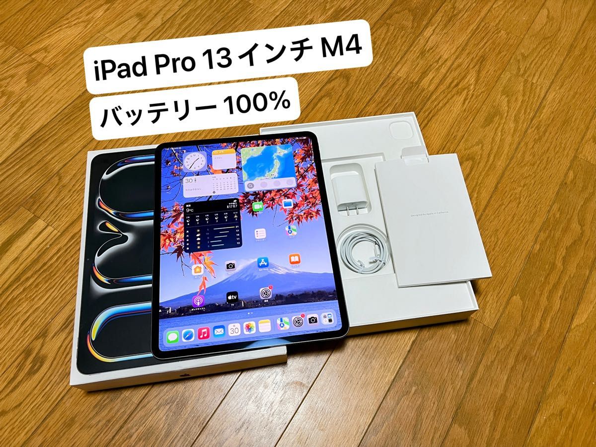 Apple iPad Pro 13インチ M4チップ（2024モデル）スペースブラック