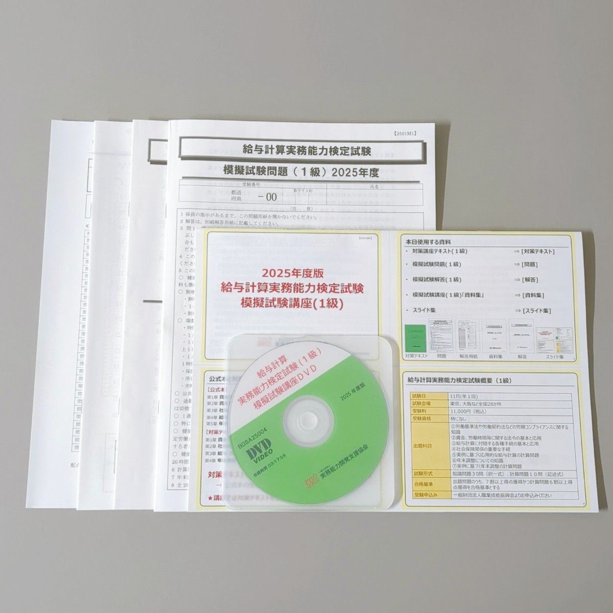 2025年度版 給与計算実務能力検定1級 対策講座+模擬試験講座 DVD講座