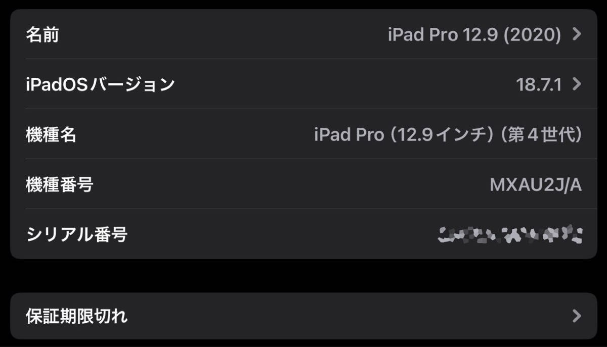 iPad Pro 12 9インチ 第4世代 256GB 美品 バッテリー98%｜Yahoo!フリマ