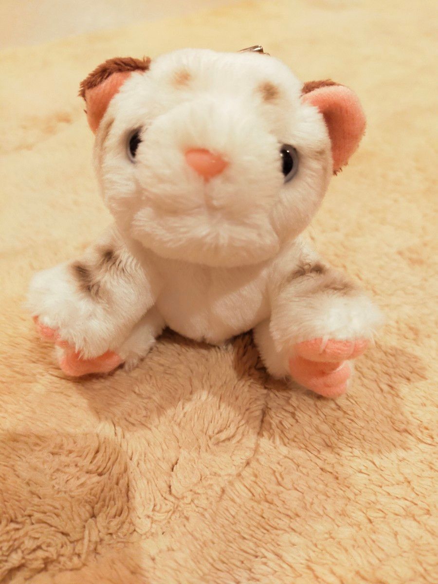 ぬいぐるみ 東武動物公園 ホワイトタイガー キーホルダー｜Yahoo