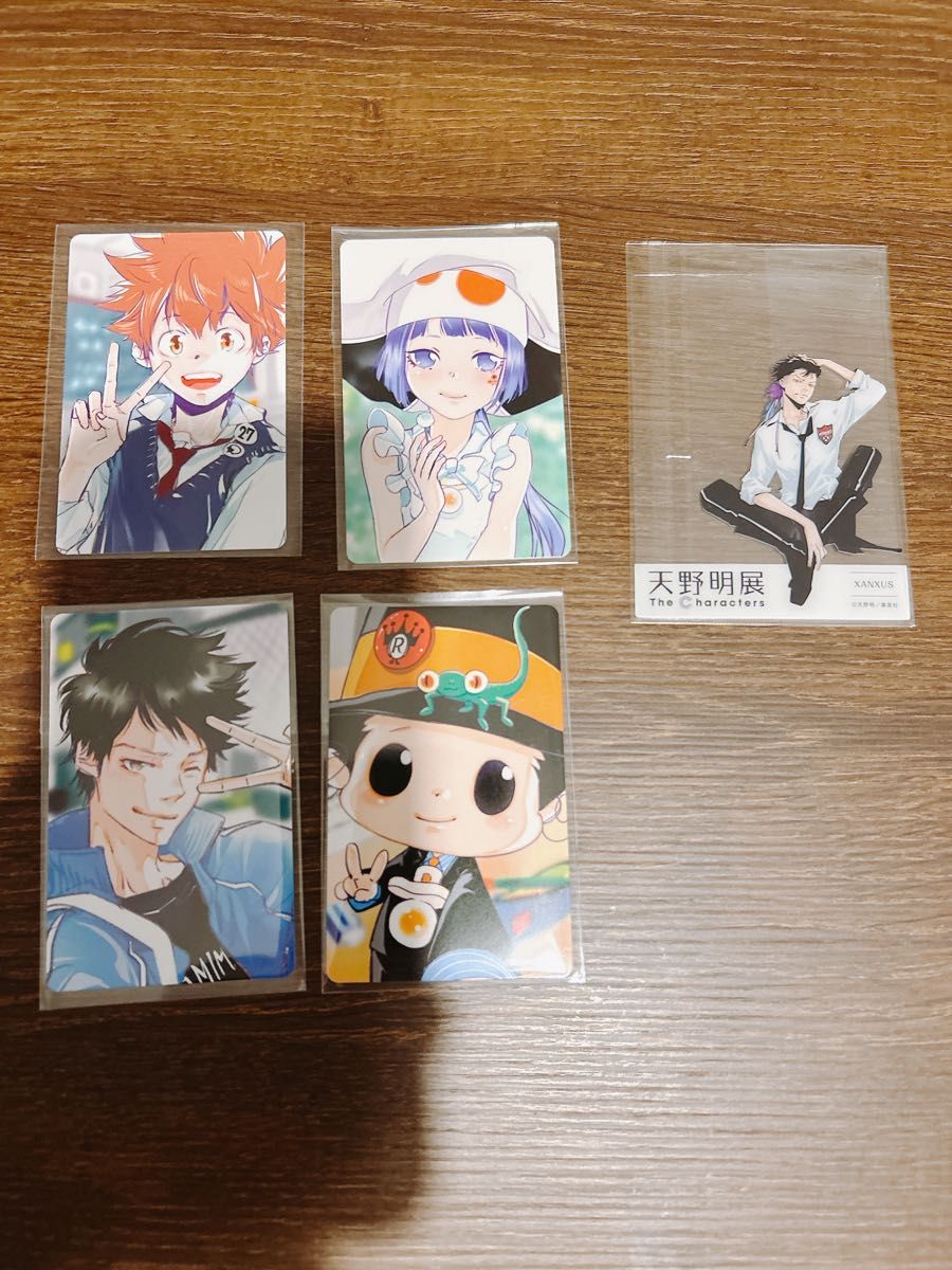 天野明展 購入特典 雲雀恭弥(10年後) 自撮り風トレーディングカード