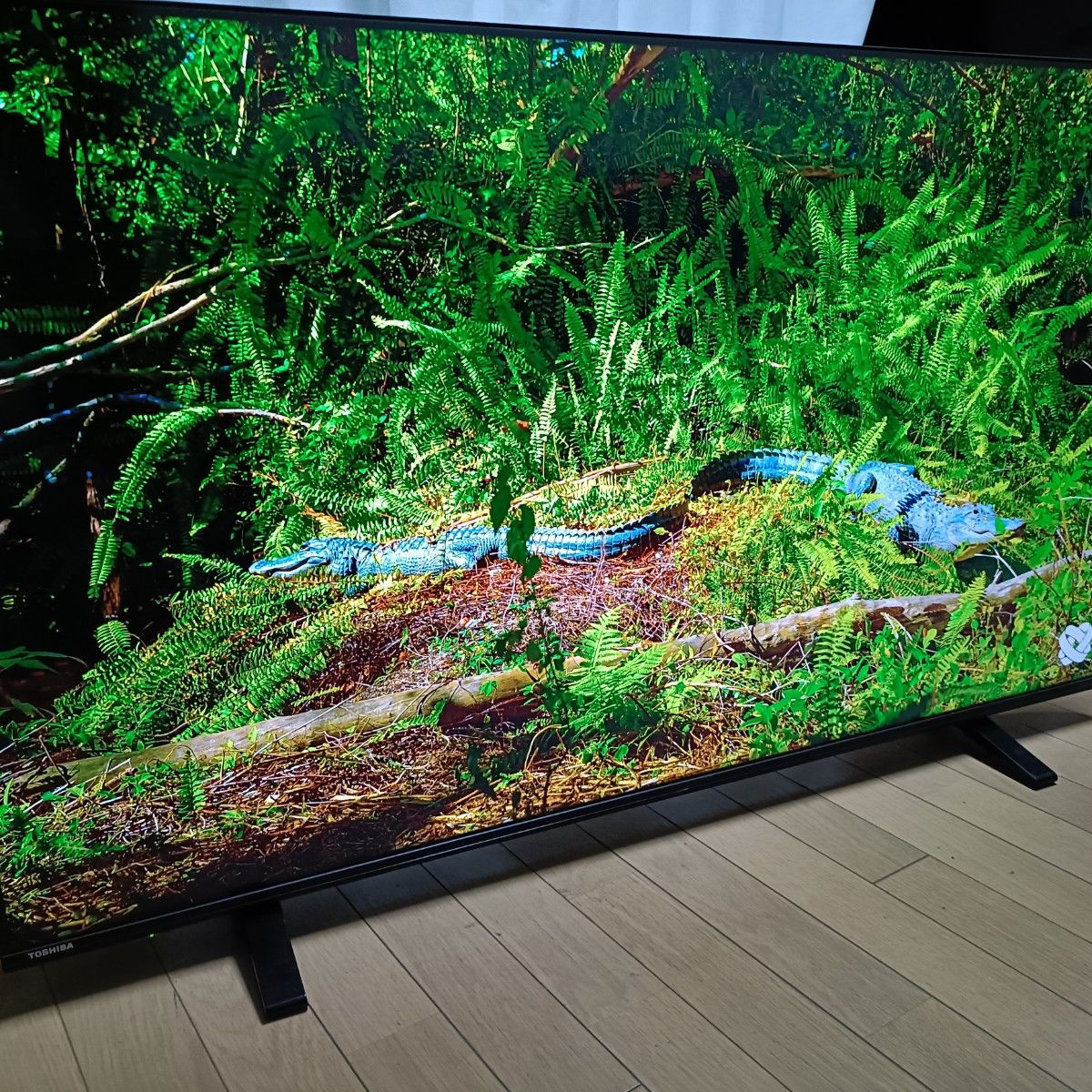 TOSHIBA REGZA 50C340X（2020年製）｜Yahoo!フリマ（旧PayPayフリマ）