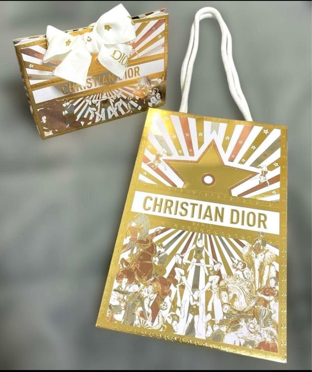 未使用ディオールルージュディオール010ギフトバッグ付き 未使用