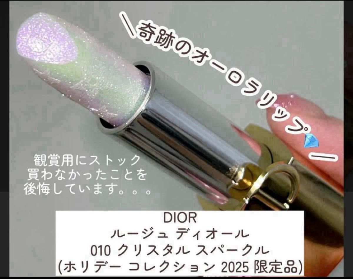 未使用ディオールルージュディオール010ギフトバッグ付き 未使用