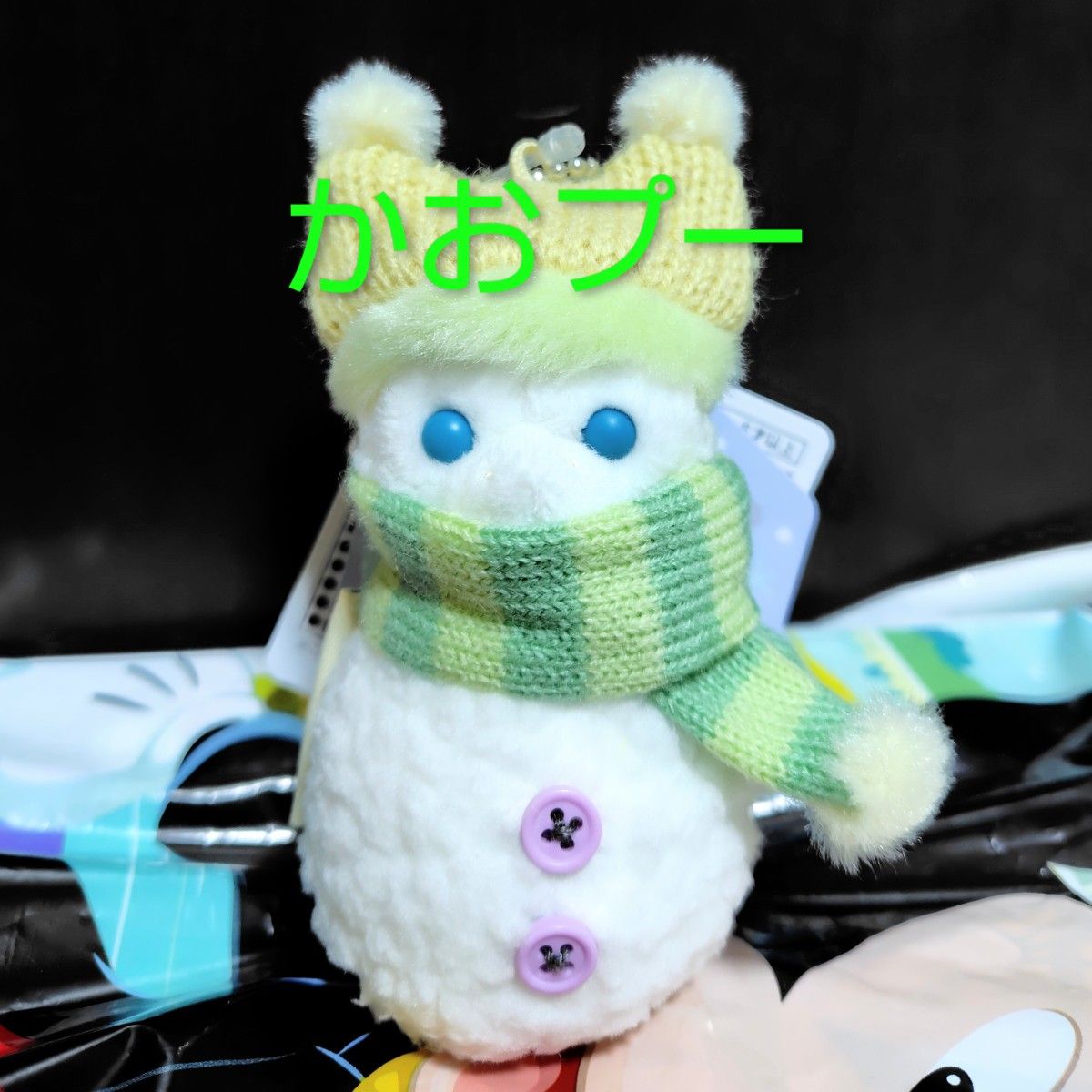 2025 ディズニーシー ダッフィー シークレットオブスノーウィーデイ