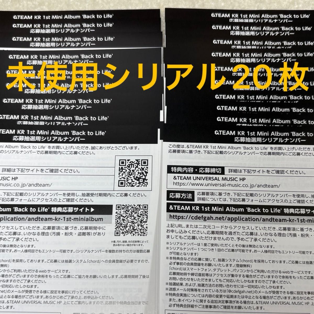 &TEAM シリアル back to life｜Yahoo!フリマ（旧PayPayフリマ）
