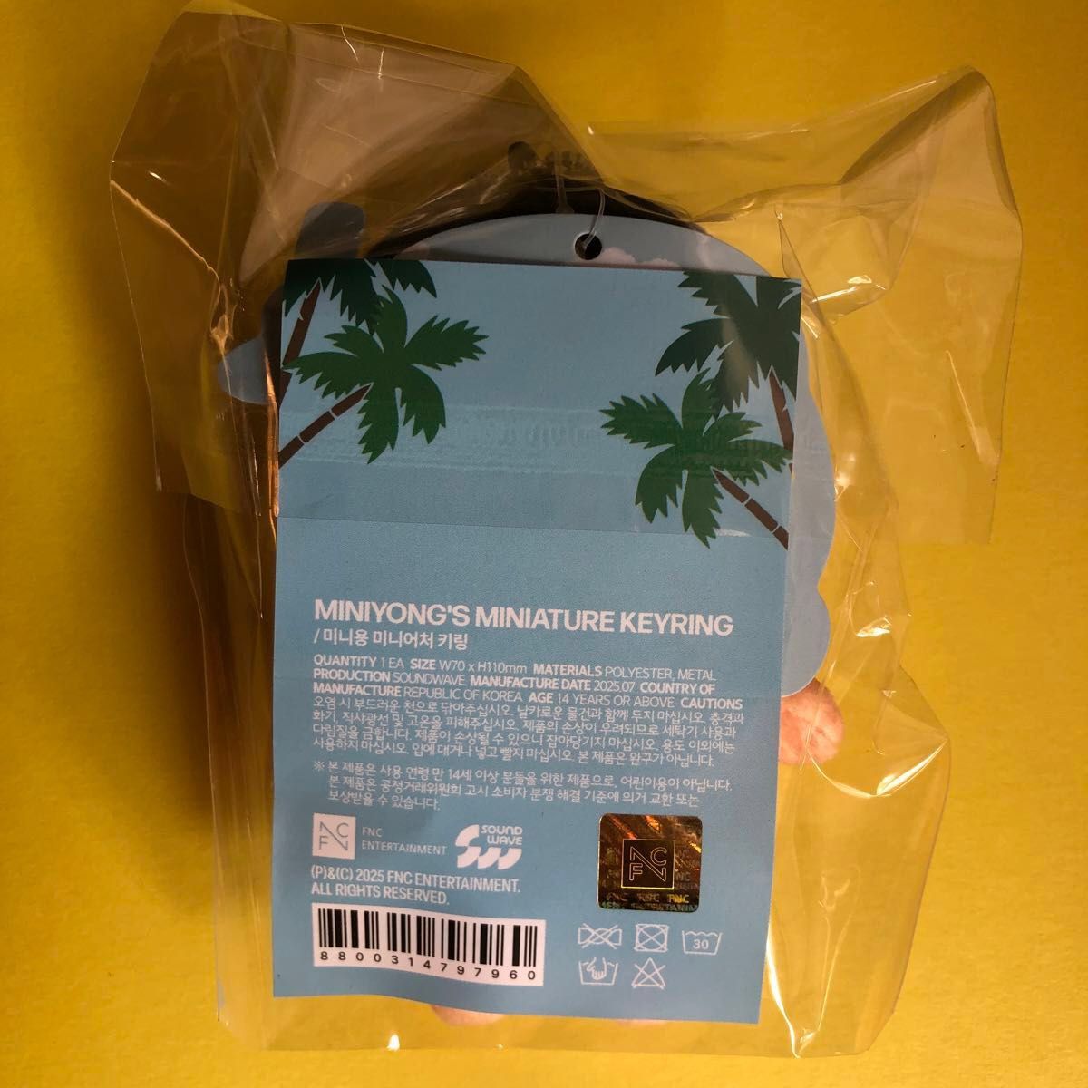 ヨンファ キーリング CNBLUE ミニヨン 2025ソロコン ぬいぐるみ 未開封
