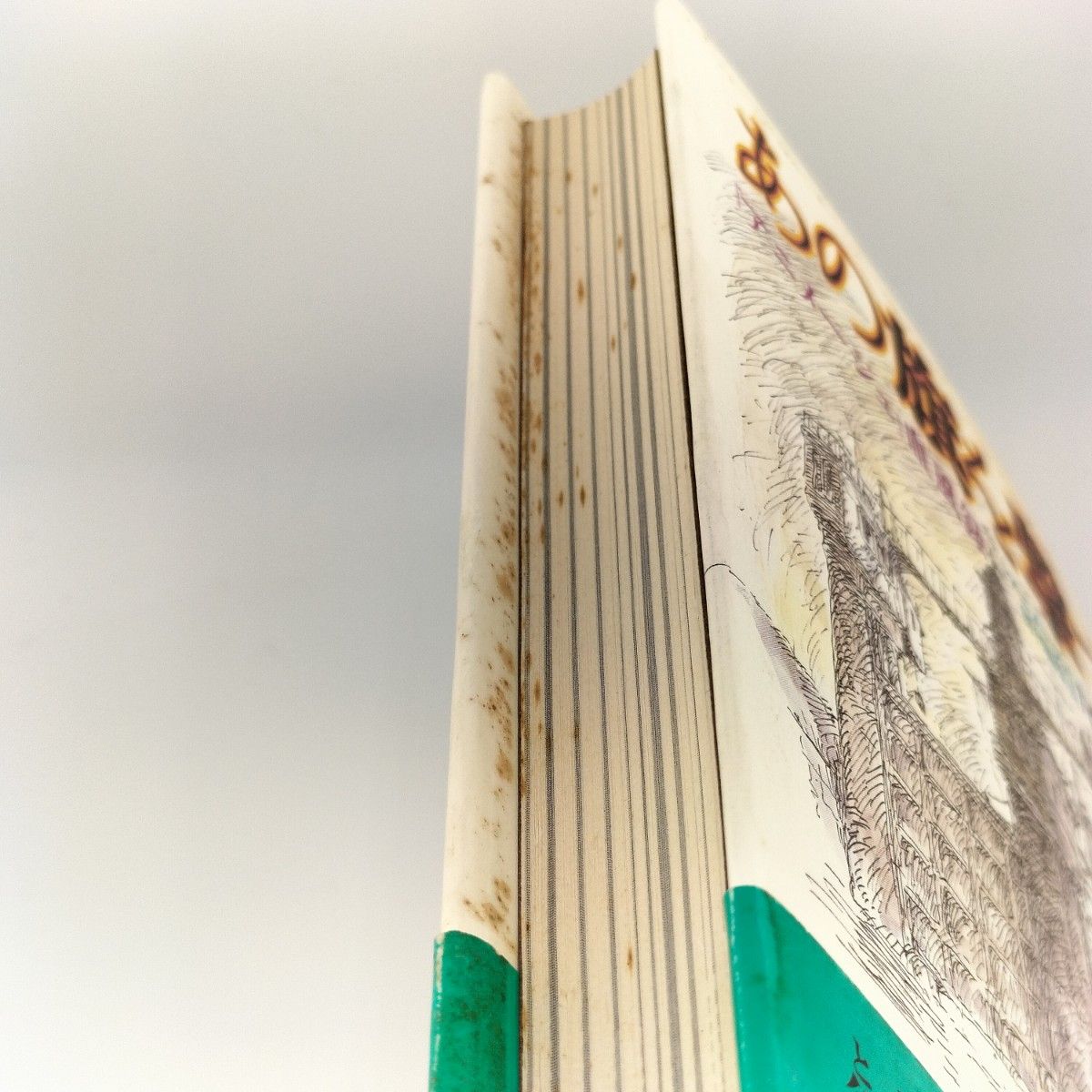 あの旗を撃て アニメージュ血風録 尾形英夫 スタジオジブリ 宮崎駿