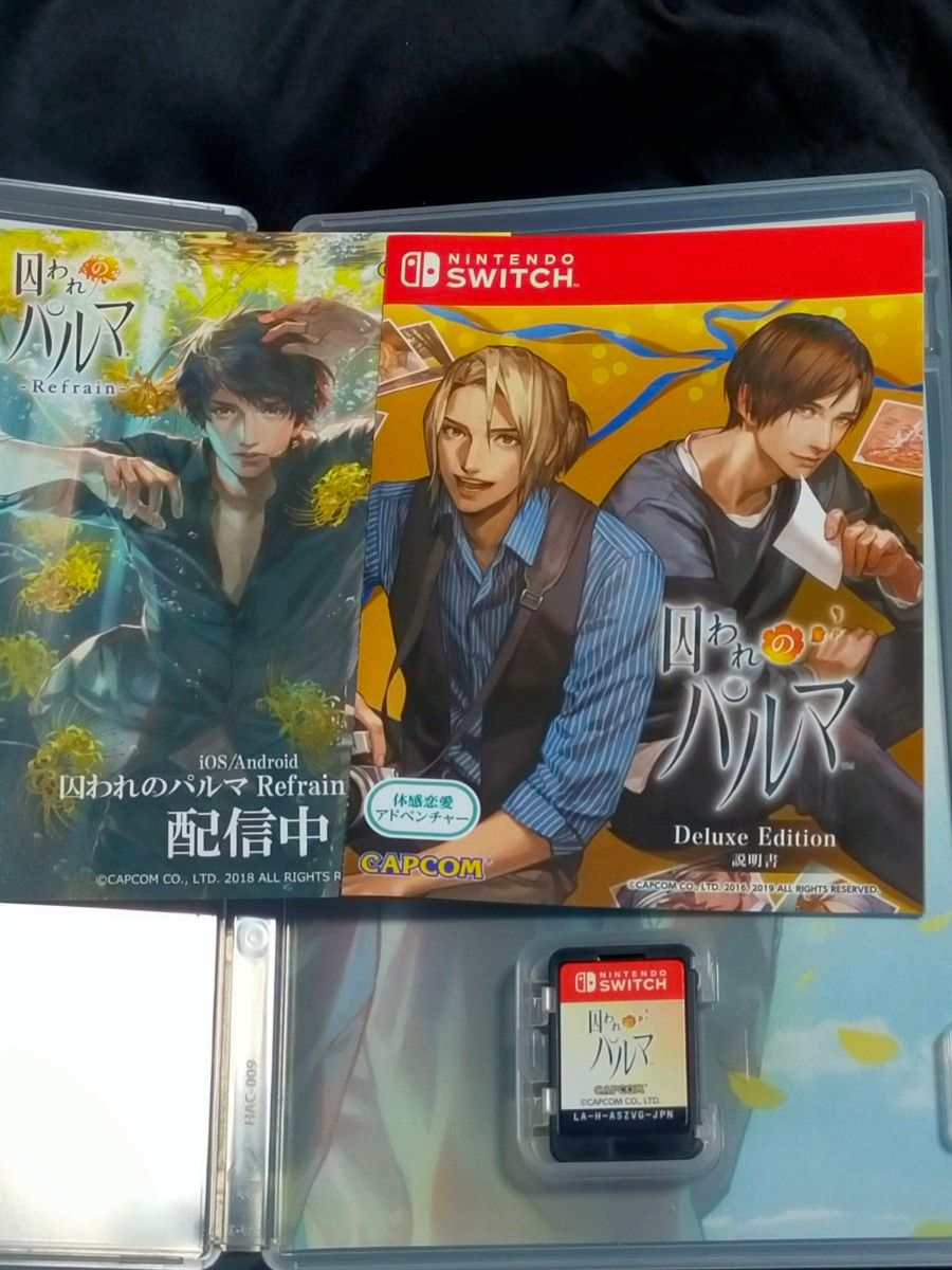 Switch 囚われのパルマ デラックス エディション 囚われのパルマ