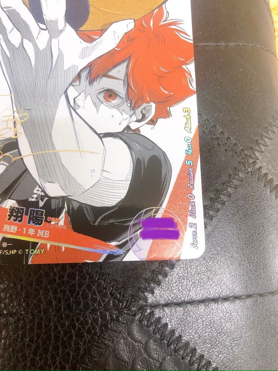 ハイキュー バボカ BREAK 日向翔陽 シリアルナンバー入 サイン 極 ワン