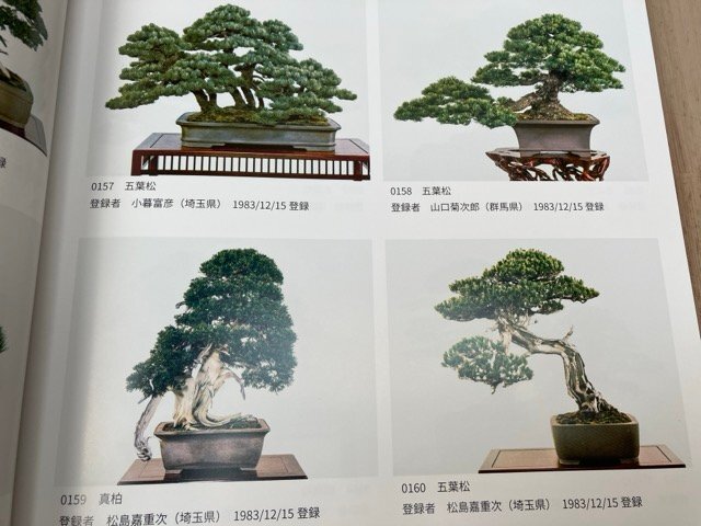 貴重盆栽登録樹集 最新 昭和55年～令和3年/日本盆栽協会 CIB1457