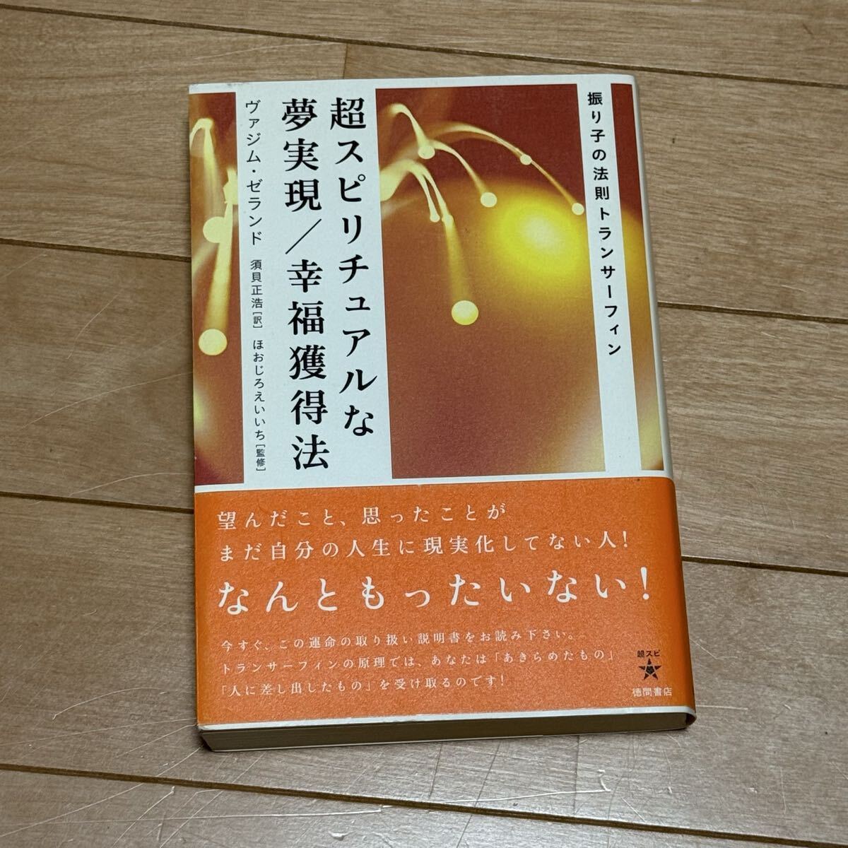 代々木ゼミナールテキスト 菅野祐孝 日本史そこが知りたい 1994 95冬期