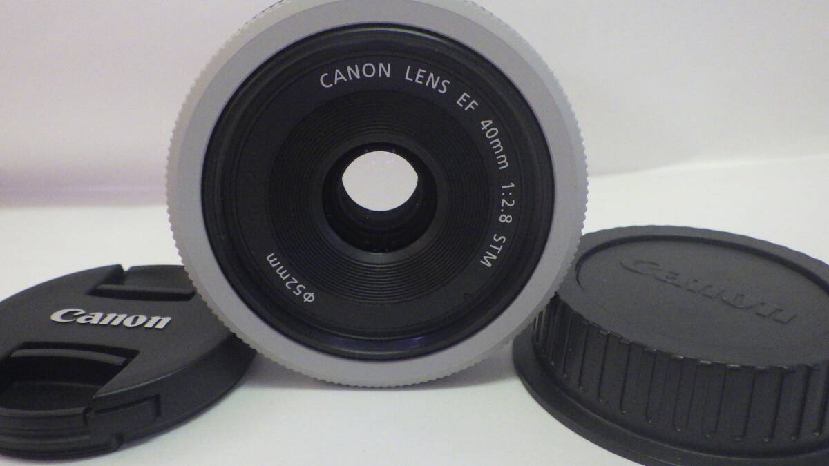 Canon MACRO 0.3m/0.98ft 40mm レンズ キヤノン キャノン マクロレンズ