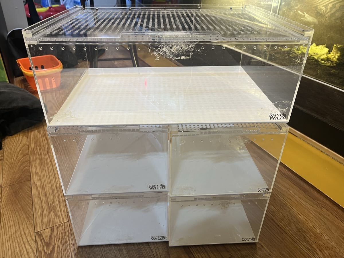 REPTI WILD 飼育ケージ 5個セット REPTI WILD 飼育ケージ 5個セット 三