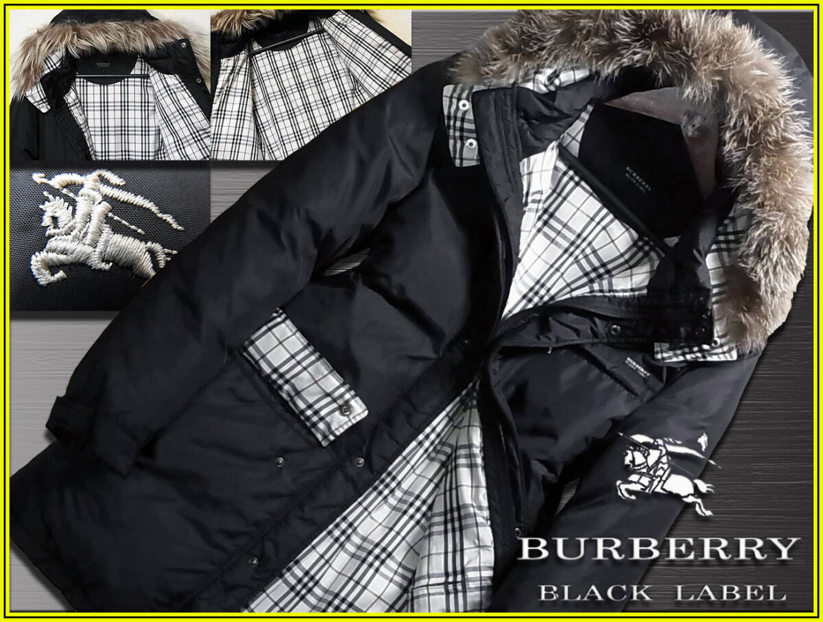 激レアLL シルバーフォックス ホワイトグース ダウンジャケット ナイト