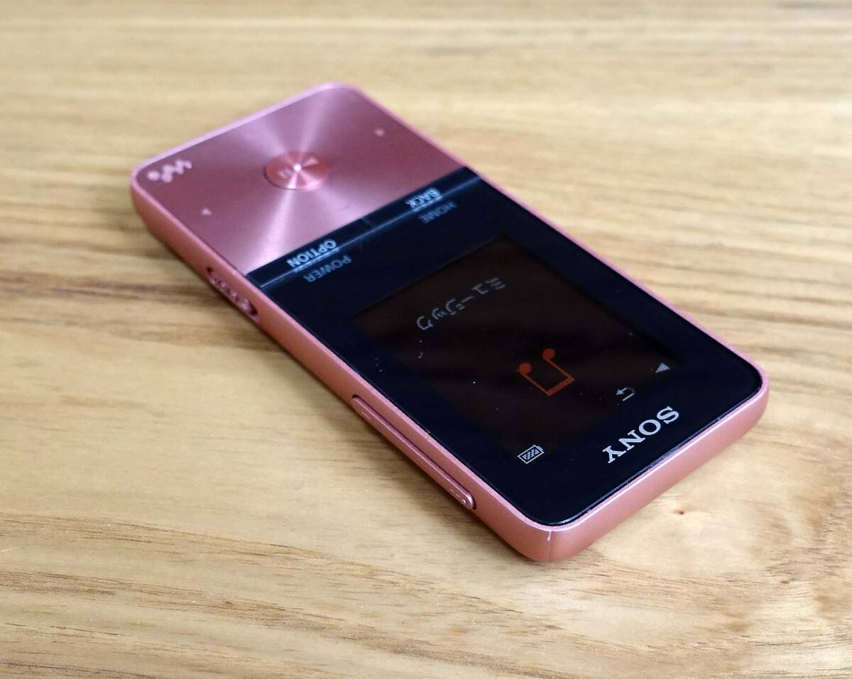 SONY Walkman ソニーウォークマン NW-S313 4GB ブルー Bluetooth搭載