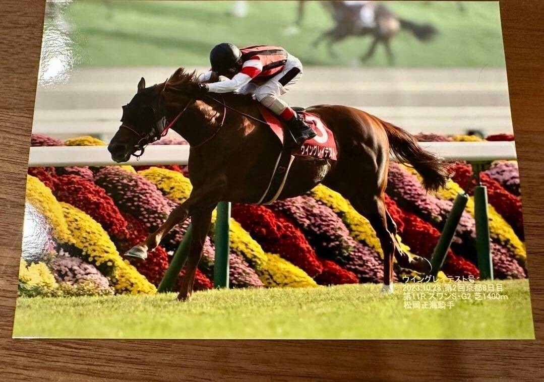ウイングレイテスト 実使用ゼッケン・ホースレーシングカード・優勝