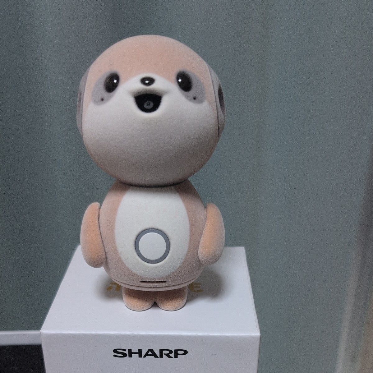 SHARP ポケとも SR-C01M-W コンパニオンロボット｜Yahoo!フリマ（旧