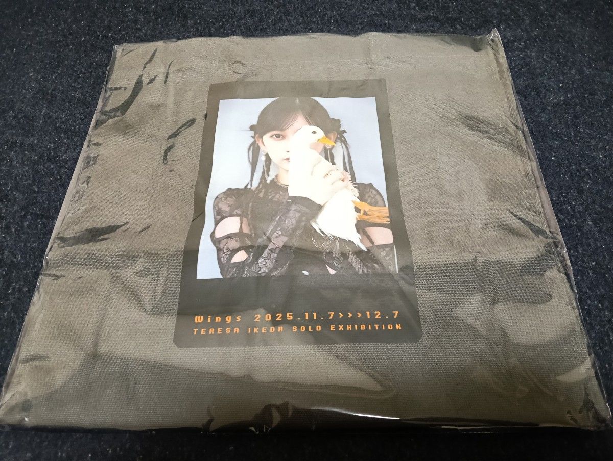 新品未開封 池田瑛紗乃木坂46 Wingsあひるの夢トートバッグGrey てれさ
