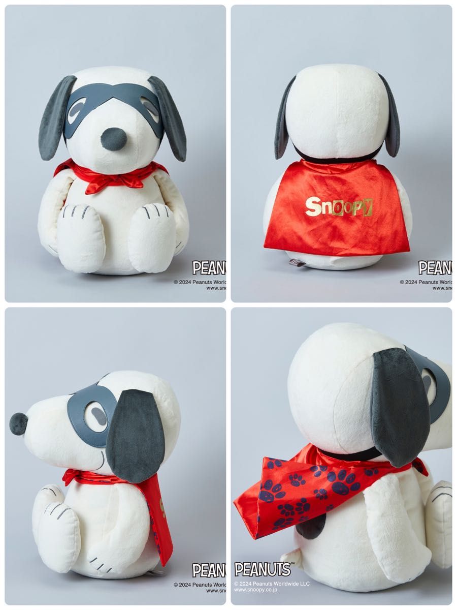 ミズノ 【PEANUTS】スヌーピー メディシンボール レッド 2kg｜Yahoo