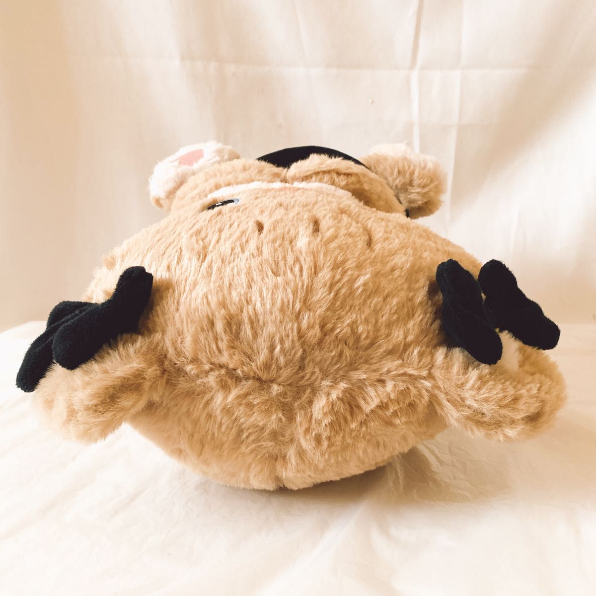 mikko characters BLACK RIBBON BIGぬいぐるみ ラテ タグ付き みっこ