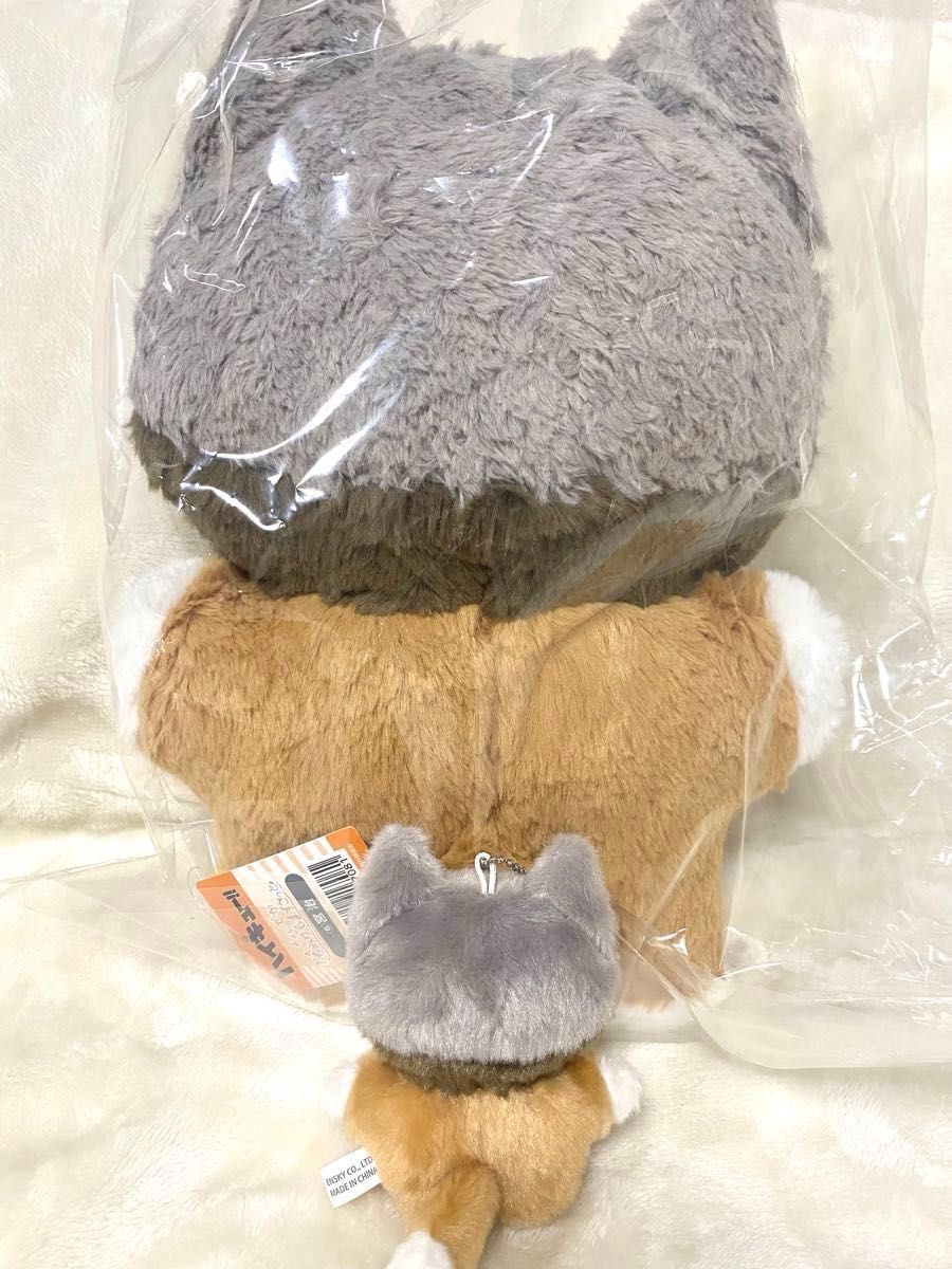 ハイキュー ちょいでかちみけもマスコット 宮治 ジャンフェス2026先行