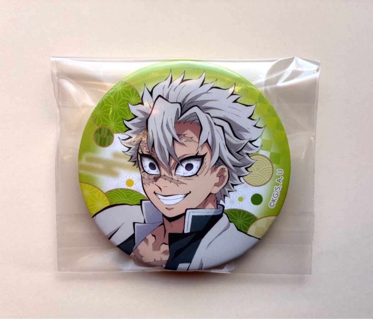 鬼滅の刃 全集中展 刀鍛冶の里編・柱稽古編 ランダム缶バッジ 缶バッヂ