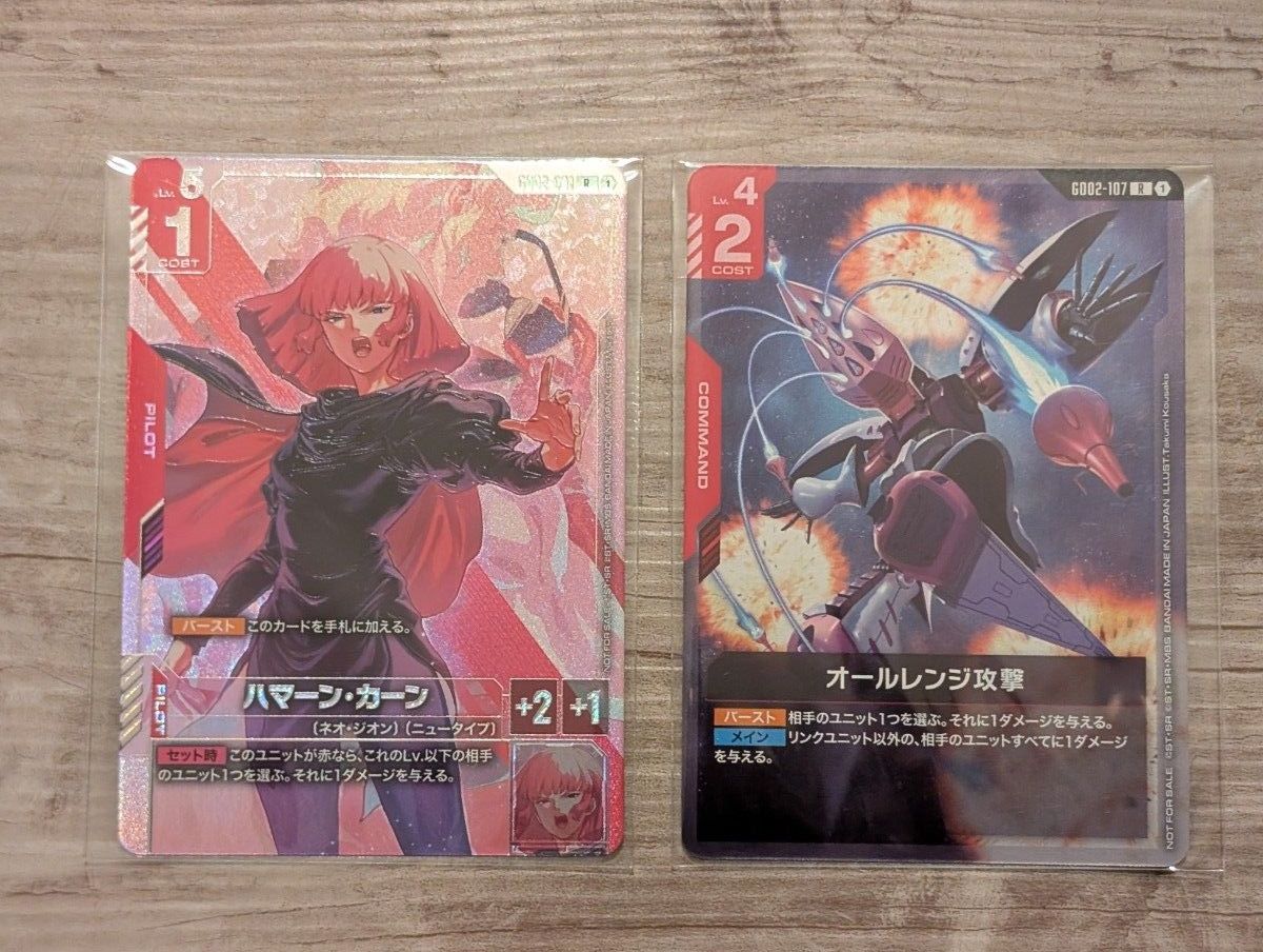 ハマーン・カーン プロモ 未開封 ニュータイプチャレンジ オールレンジ