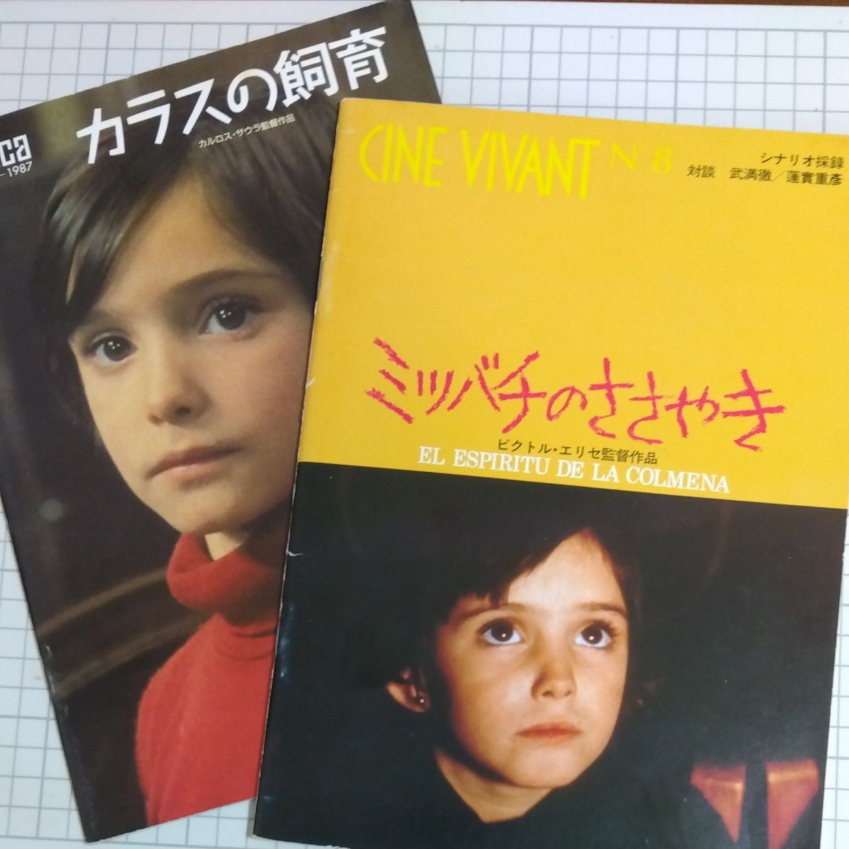 ミツバチのささやき／カラスの飼育 パンフレット2冊セット アナ