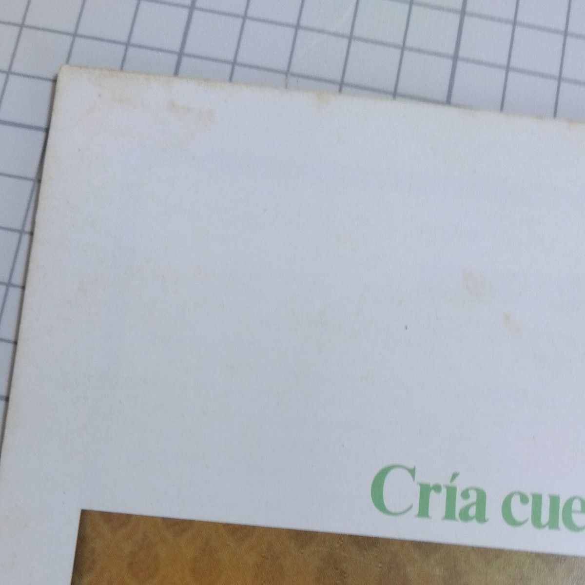 ミツバチのささやき／カラスの飼育 パンフレット2冊セット アナ