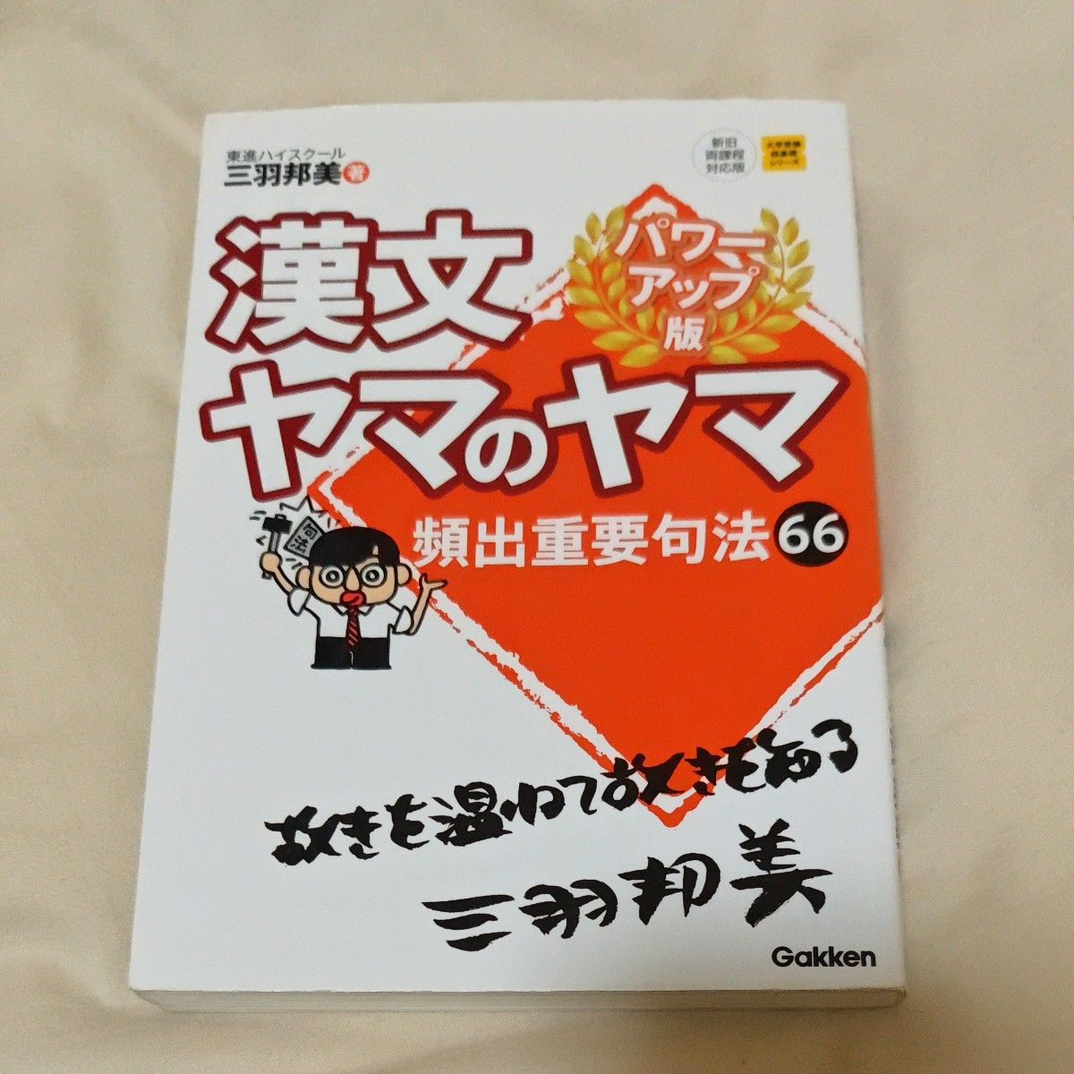 漢文ヤマのヤマ （大学受験超基礎シリーズ） （パワーアップ版） 三羽