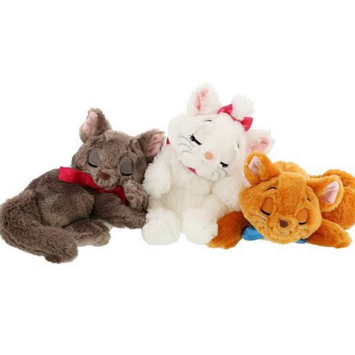 お顔厳選 マリー ベルリオーズ トゥルーズ おしゃれキャット