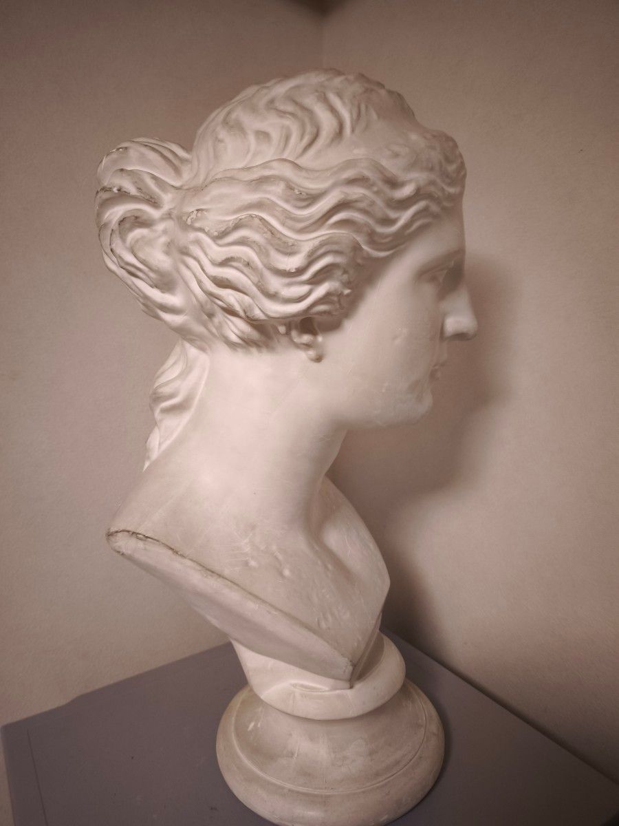 ミロのヴィーナス 石膏像 胸像 デッサン 美術 彫刻 オブジェ
