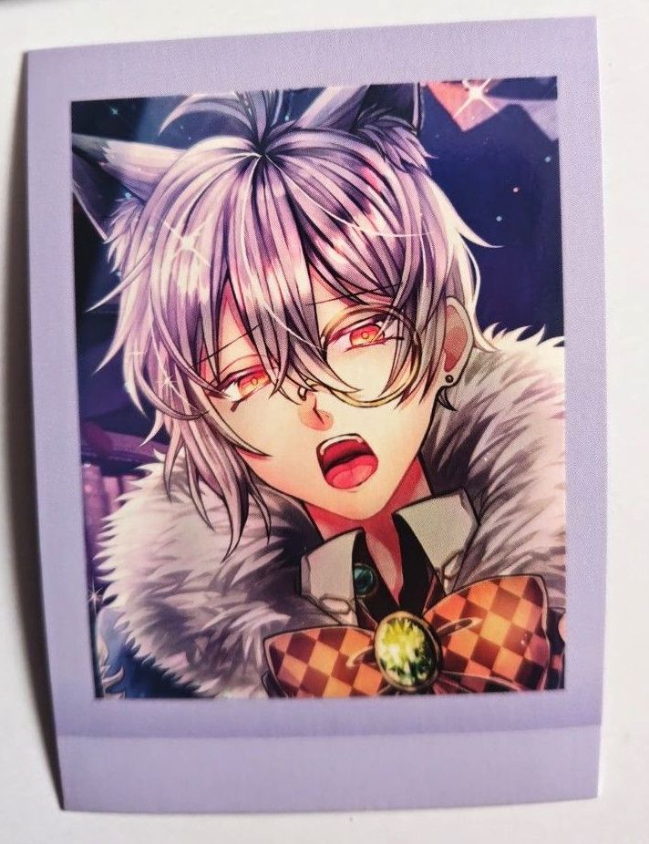 あくねこ 悪魔執事と黒い猫 フェネス ぱしゃこれ｜Yahoo!フリマ（旧