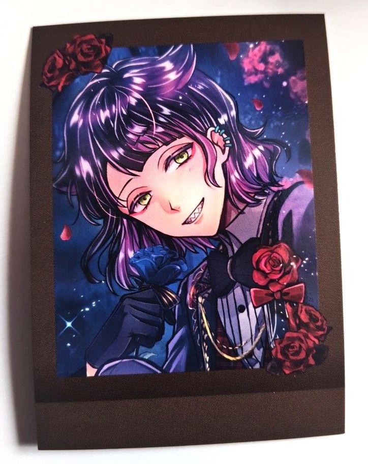 あくねこ ラムリ ぱしゃこれ あくねこ ラムリ ぱしゃこれ 【公式通販】