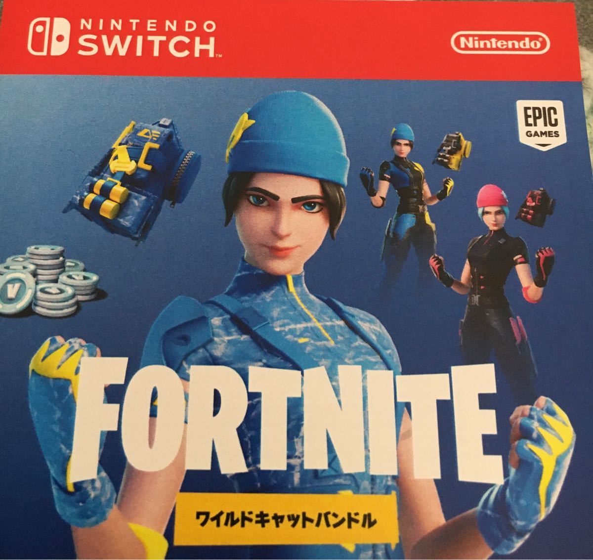特典コードのみNintendoSwitchフォートナイトワイルドキャットバンドル