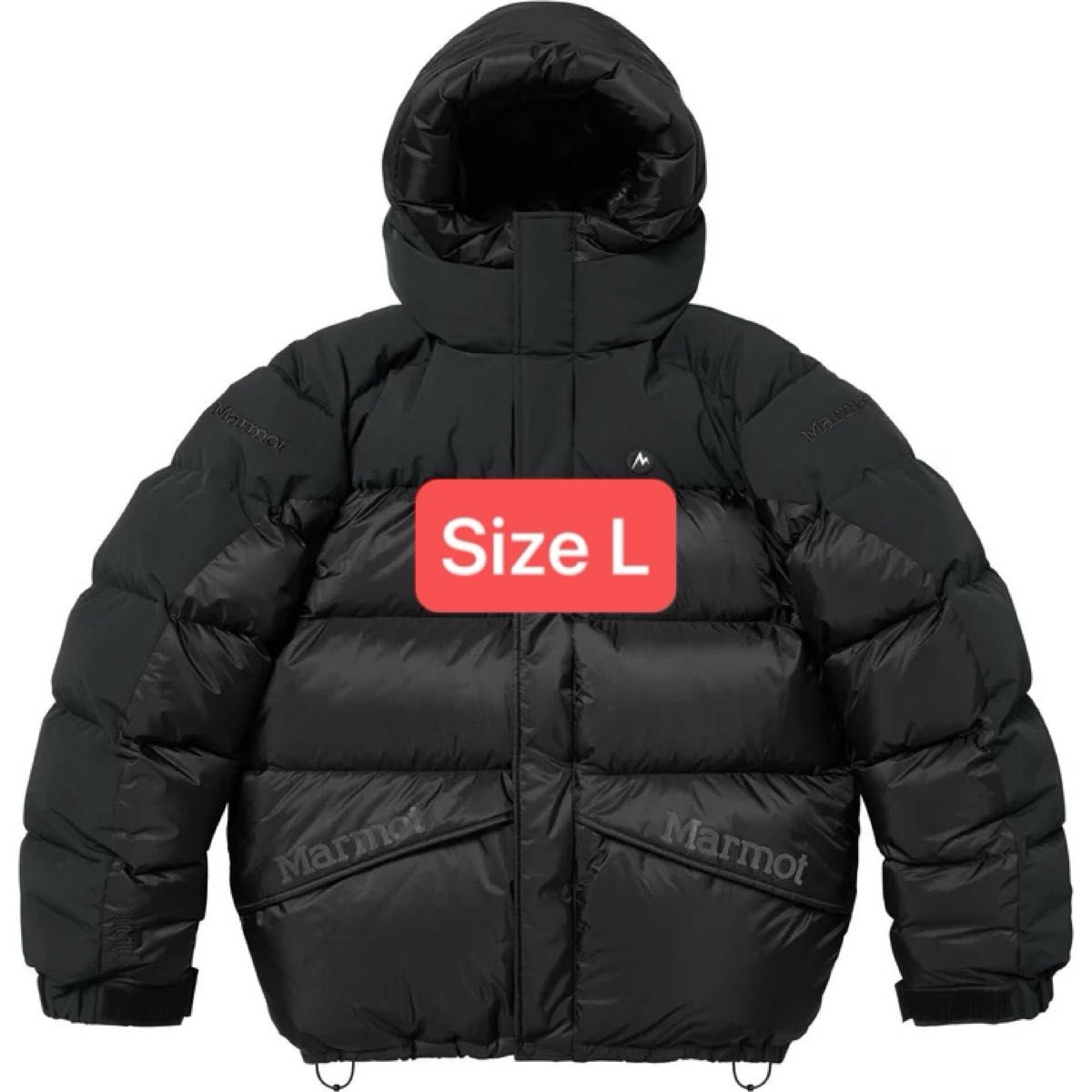 Supreme x Marmot 800-Fill Down Parka 