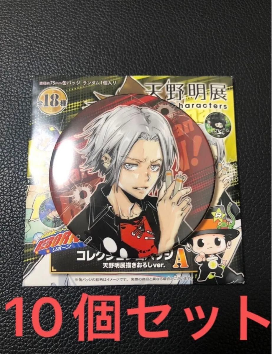 天野明展 家庭教師ヒットマンREBORN コレクション缶バッジA 獄寺隼人