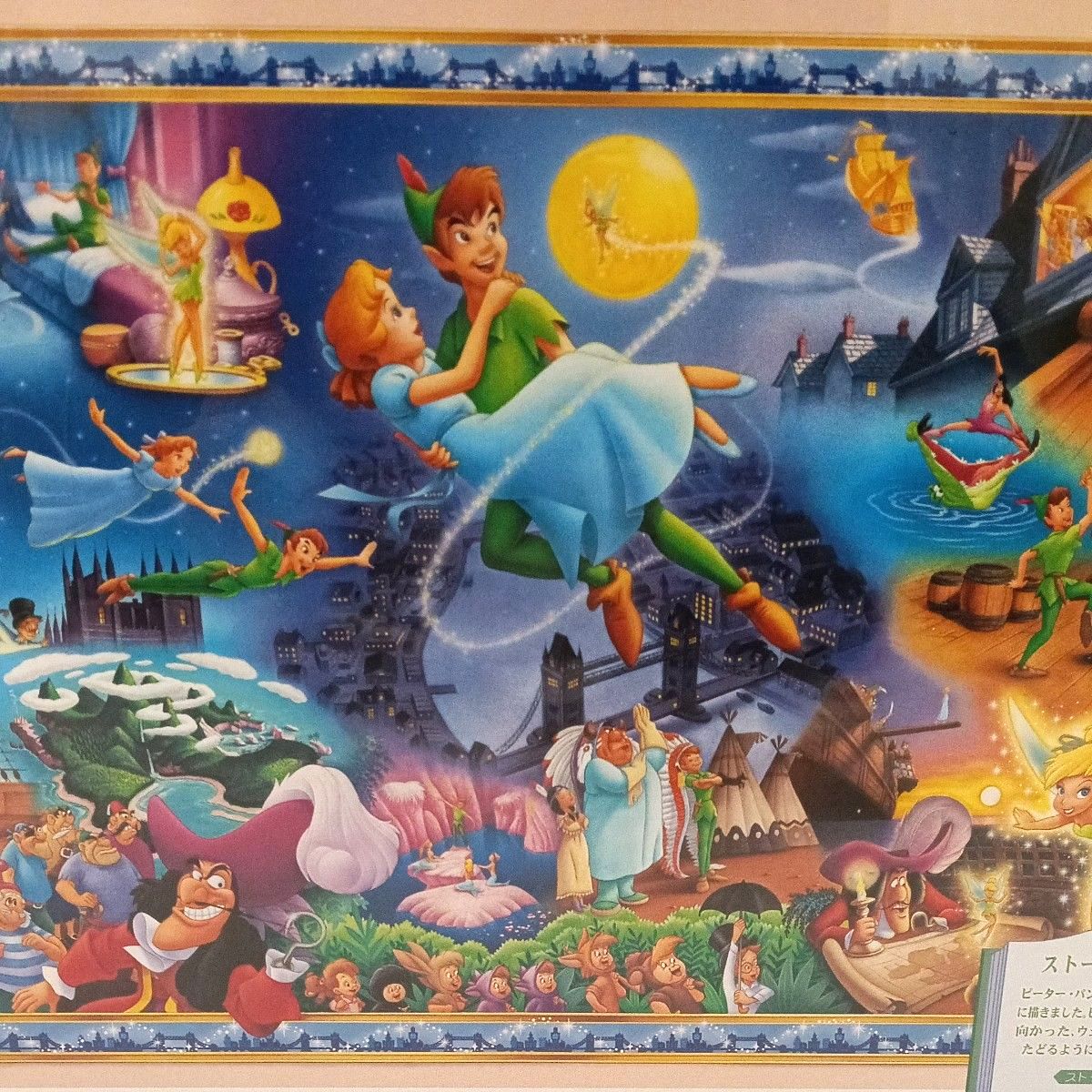 廃盤希少 未開封 Disney ディズニー ピーターパン 夢のストーリー